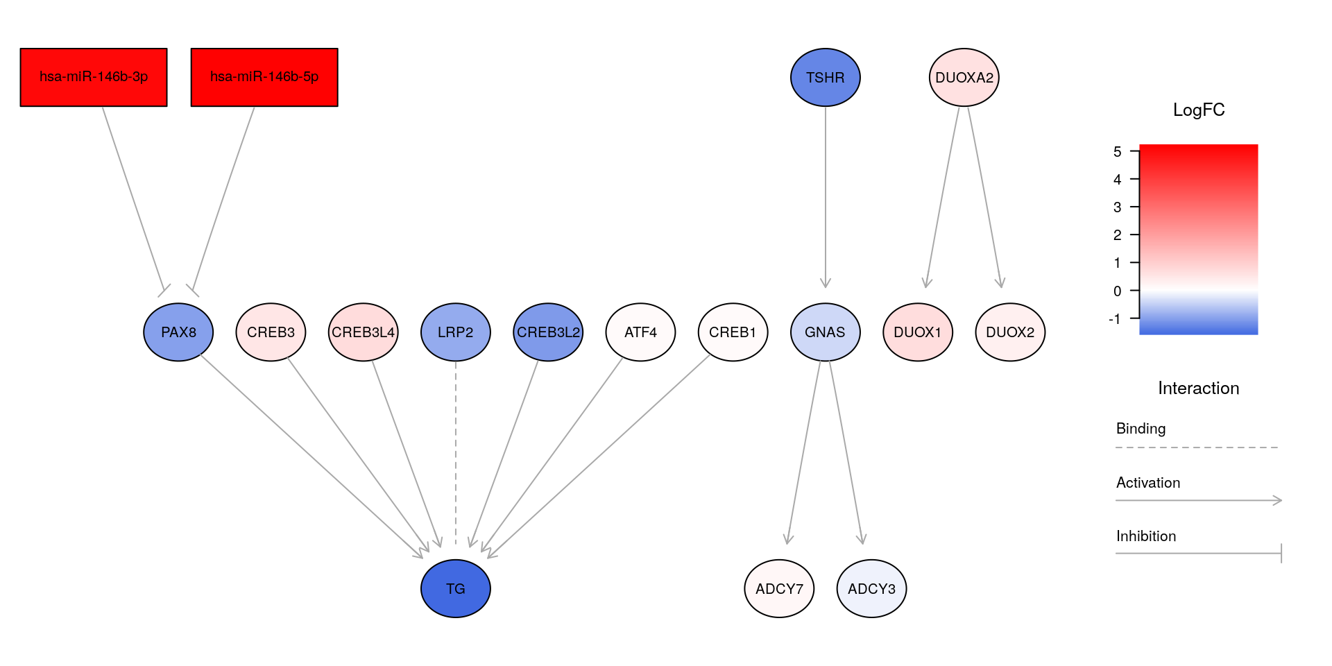 Impaired network involved in thyroid hormone synthesis. The network created by MIRit suggests that the upregulation of miR-146b-5p and miR-146b-3p may be responsible for diminished expression of PAX8, which in turn causes reduced transcription of thyroid hormone.