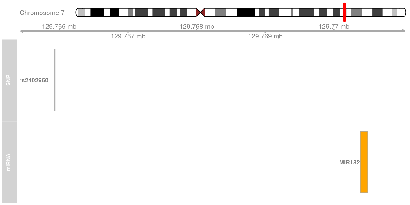 Track plot for miRNA-SNPs. This trackplot shows the proximity of rs2402960 with the locus that encodes for miR-182.